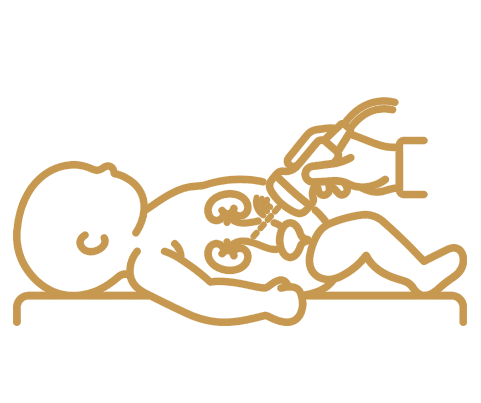Ultrassonografia de Vias Urinarias